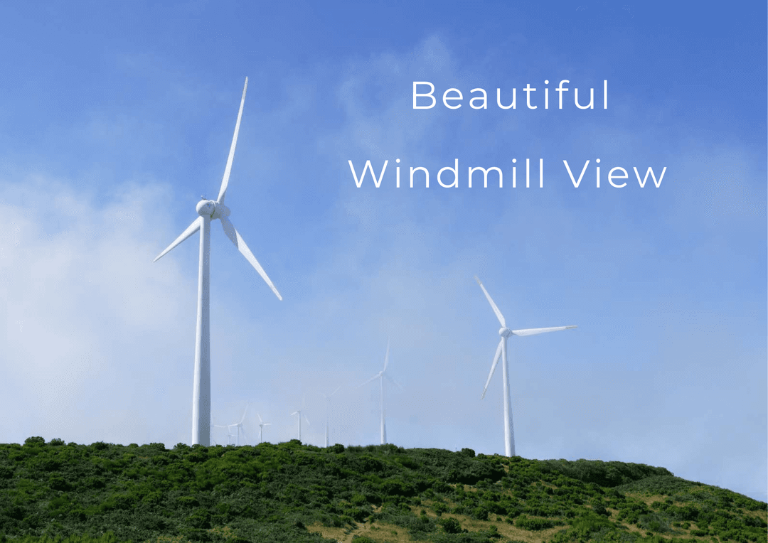 Windmill View